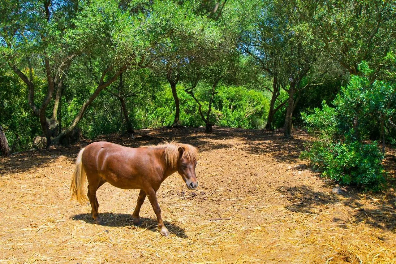 Finca Putxet D\'En Robi Sineu By Mallorca Villa Selection location